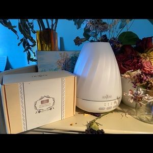 Anjou Essential Oil Diffuser + 12 Essential Oils